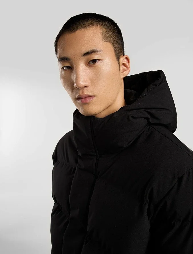 Куртка Dickies Eagleville Hooded Puffer Black